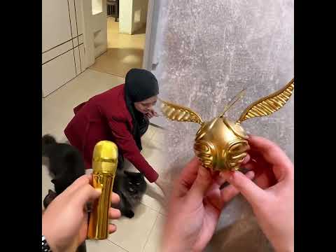 😂#student #studentlife #schoollife #school #teachers #teacherbelike