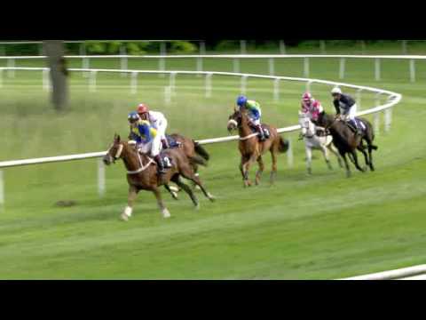 Aarau/22.05.2016/Preis Meiko - Spaghetti Salmen - B&S Treuhand