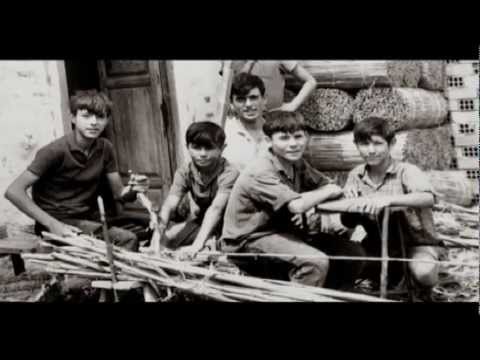 Catral Export, vidéo corporate.