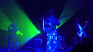 Pigeons Playing Ping Pong - LIVE IT UP