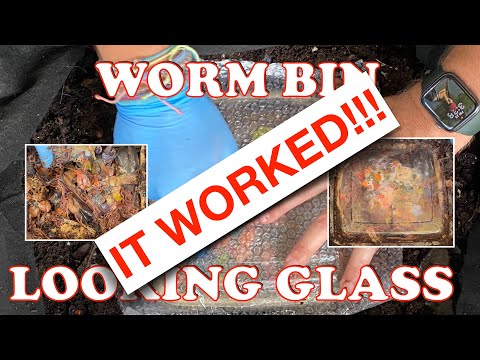 How To Eliminate Bad Odors In A Worm Bin + Hurricane & See Thru Dome Update | Vermicompost Worm Farm