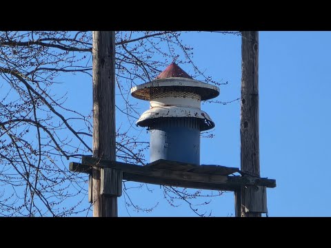 Jerome, PA | Darley Champion | Attack