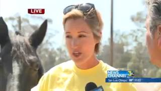 Evacuated Sherpa fire horses will not go home just yet