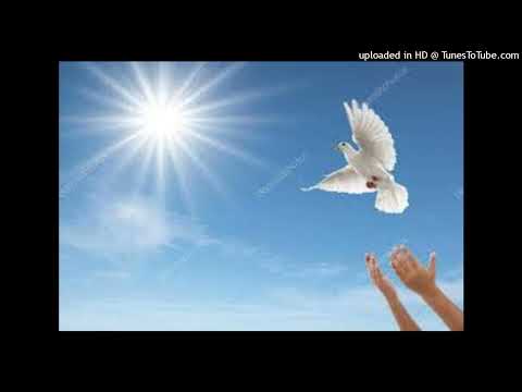 UNA PALOMA BLANCA - GEORGIE DANN