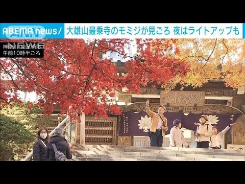 O outono chega a Daiyuzan Saijoji, um “local escondido para as folhas de outono” em Minamiashigara, Kanagawa (24 de novembro de 2023)