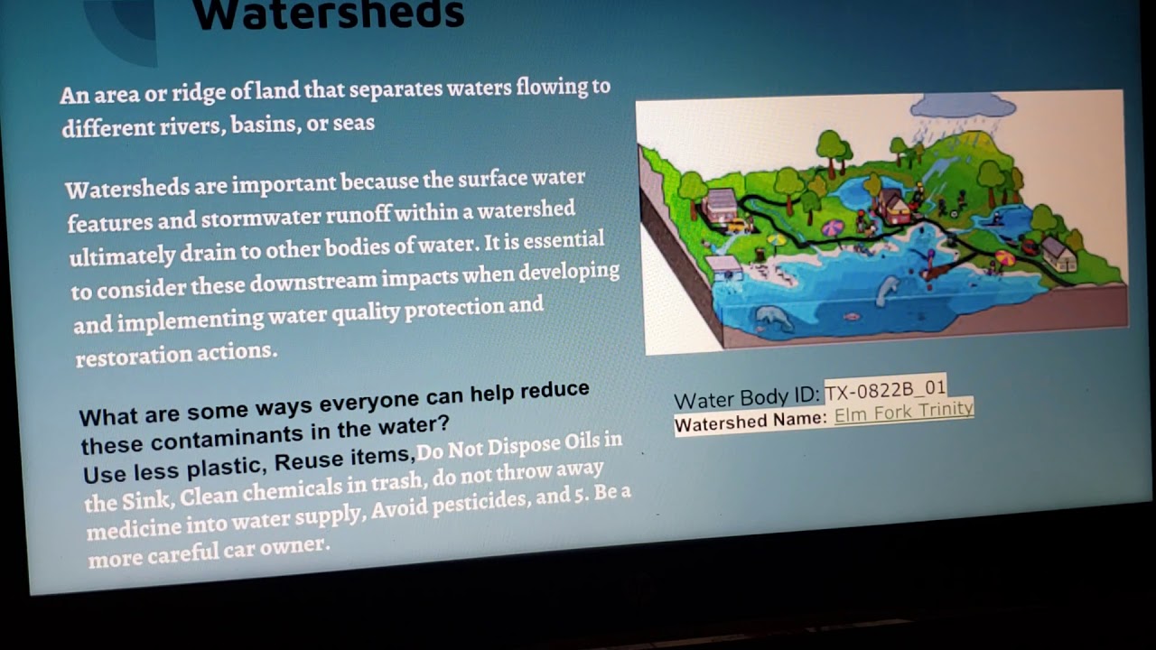 Water Quality Project PowerPoint Presentation