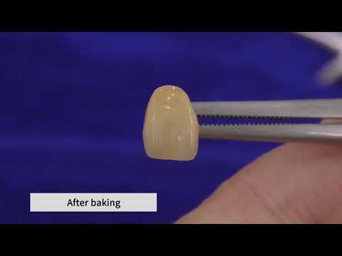 FCps EN short 4 190219