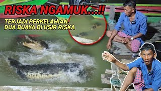 Download lagu Riska is furious‼️A fight broke out in front of her eyes, two evil crocodiles were chased away by... mp3