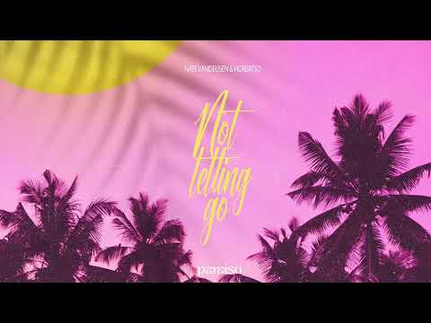 Nate VanDeusen & Horbatso - Not Letting Go (Music Video)