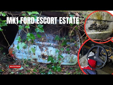 I Wasn’t Expecting This The Most DEVASTATING Barn Find of My Career Left to for 40 Years | IMSTOKZE