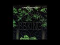 B B King Respect Yourself
