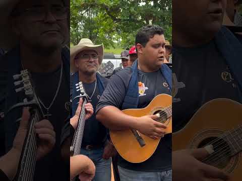 chegada da Bandeira Folia dos cumpade Itaguari-GO 16/11/2025