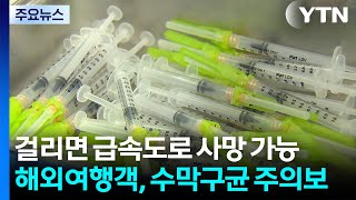 걸리면 급속도로 사망 가능...해외여행객, 수막구균 주의보 / YTN