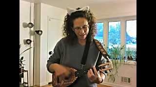 Lullaby - Trout Fishing in America (ukulele cover)