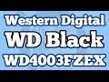 Жесткий диск Western Digital WD4004FZWX - відео