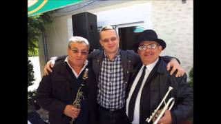 Batuta de la Cozmesti cu fratii Oprica. Live la nunta.