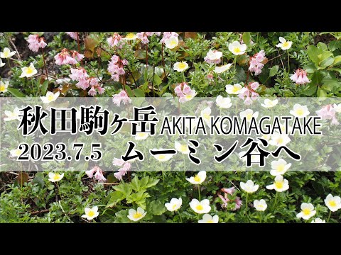 秋田駒ヶ岳登山〜ムーミン谷へ