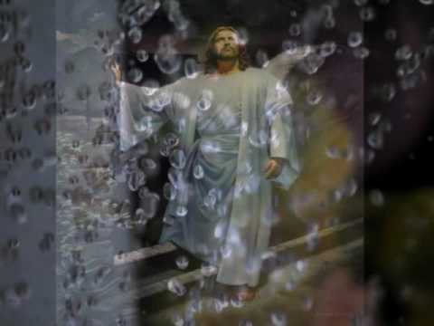 Ce linistiti sunt pasii Tai - KATHARSIS.wmv