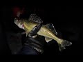 Video Thumbnail for Warm Winter Day Ice Fishing!