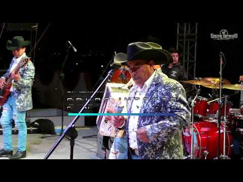 Grupo Intakto - El jarocho y el canelo "EN VIVO