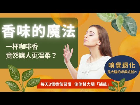 香味的魔法：嗅覺是你大腦的隱藏密碼｜如何用香氣活化記憶力、情緒與生活能量
