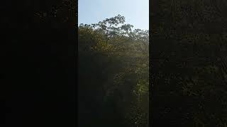 Deus e eu no sertão - Victor &amp; Leo #mtb #natureza #ciclismo