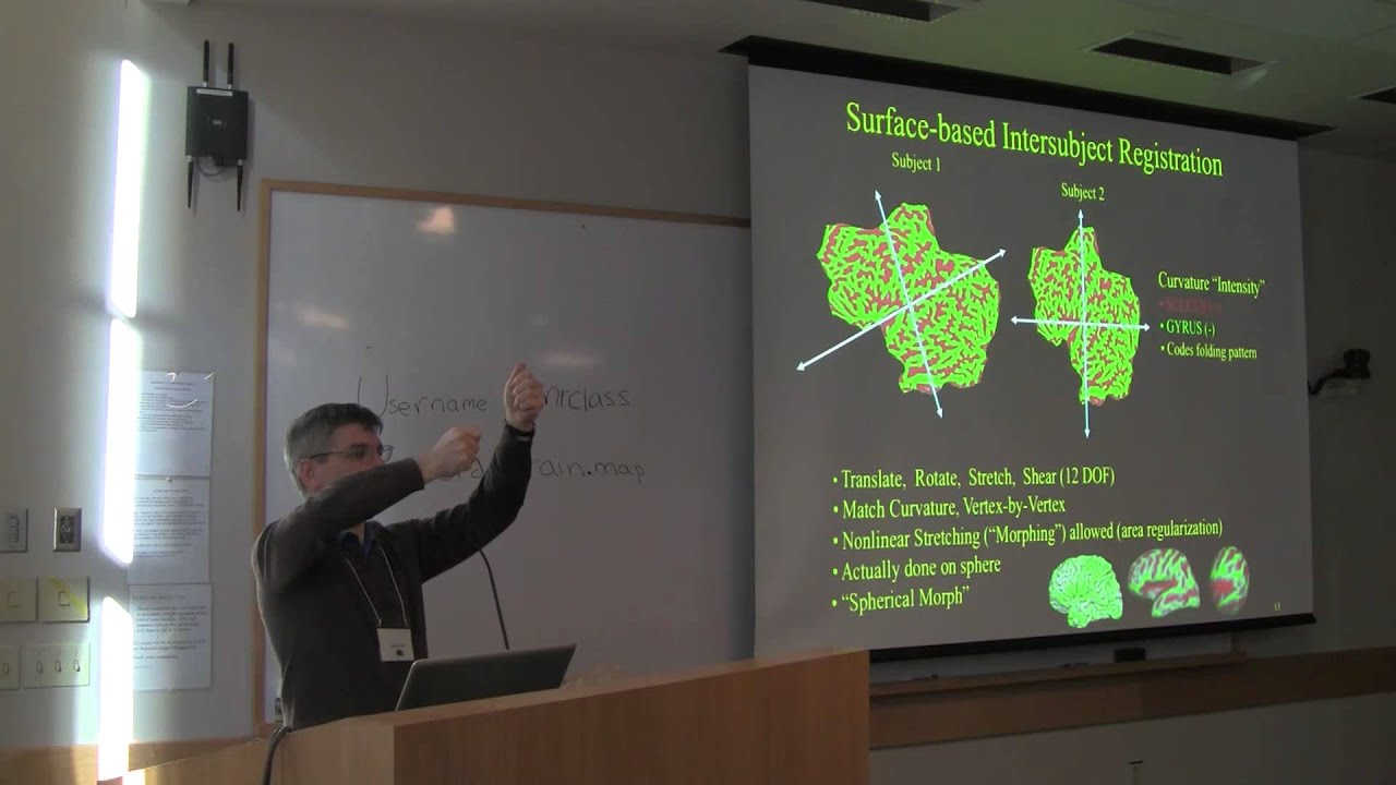 Surface-Based Analysis: Intersubject Smoothing & Registration