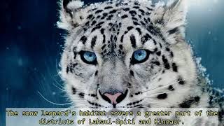 Top 10 animals in Himachal pradesh