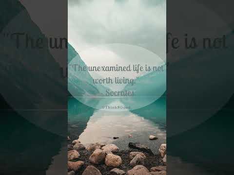 "The Examined Life: Uncovering Meaning and Purpose"