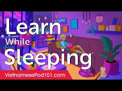 Learn Vietnamese While Sleeping 8 Hours - ALL Basic Phrases You Need