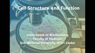 Cell Structure & Function