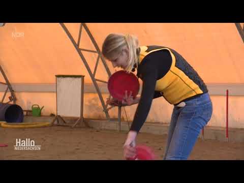 Sabine Wolff und ihre Hunde beim NDR
