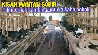 Download lagu Total Tinggalkan jadi Sopir, Sukses Ternak Kambing Untuk Usaha Hari Tua mp3 Download lagu Total Tinggalkan jadi Sopir, Sukses Ternak Kambing Untuk Usaha Hari Tua mp3