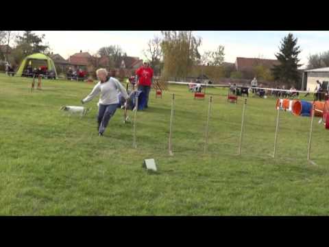 Ice Age Agi (27.10.2013)