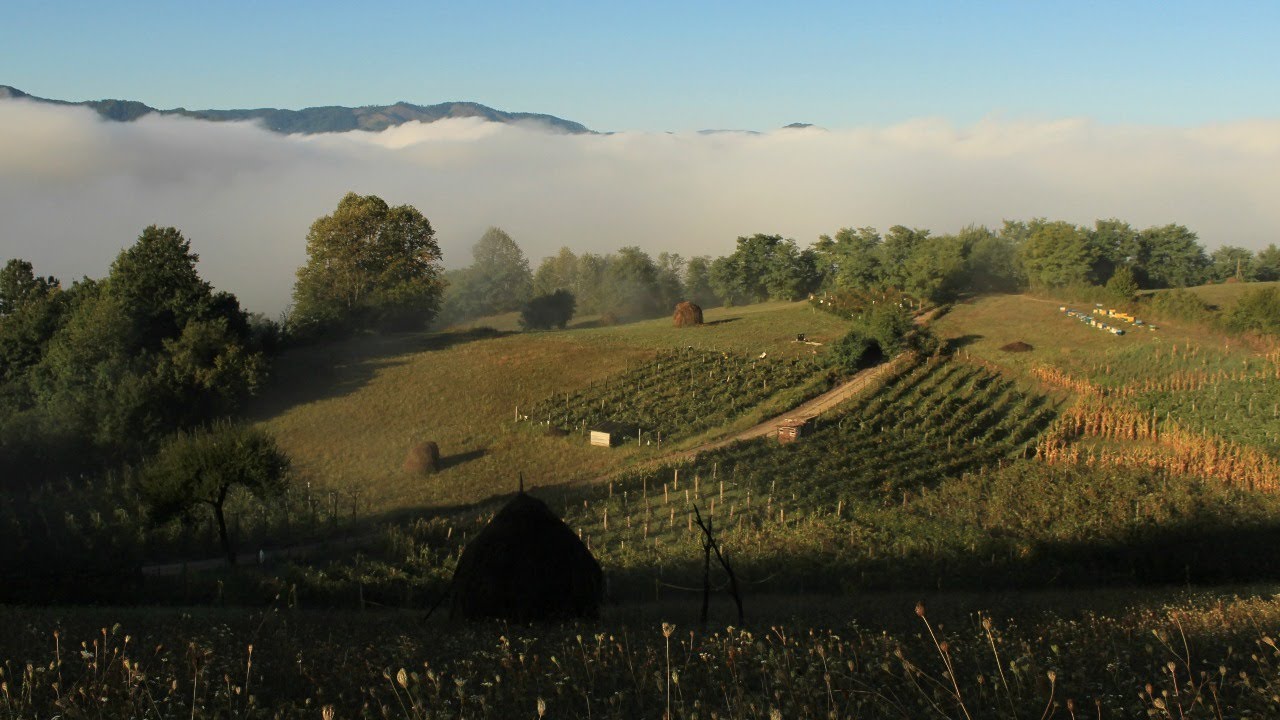 15.6.2021. У 21:30, УЖИВО МОЛИТВА И РАЗГОВОР СА О. ДЕЈАНОМ КРСТИЋЕМ