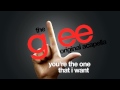 Glee - You're The One That I Want - Acapella ...