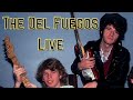 The Del Fuegos - It's Alright Live 1986