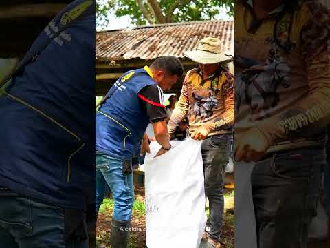 Entrega de ayudas humanitarias costas del río casanare.