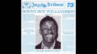 Sonny Boy Williamson, Frigidaire blues