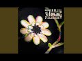 Troubadour Blues - Mark Erelli - Topic Troubadour Blues