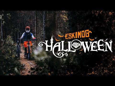Krzywoń - Oldschool // Rabka-Zdrój, Beskid Wyspowy // Trasy, Enduro, MTB, DH