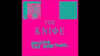 The Knife - Wrap Your Arms Around Me