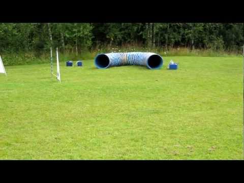 Virusträning pinne och tunnel 012