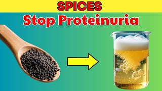 Use It TOMORROW! Top 9 SPICES Reduce Protein in Urine Naturaly and Kidney Repair | PureNutrition