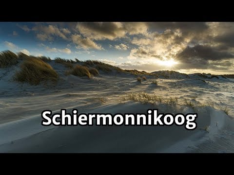 Landschapsfotografie Schiermonnikoog - Winterwind door de duinen...