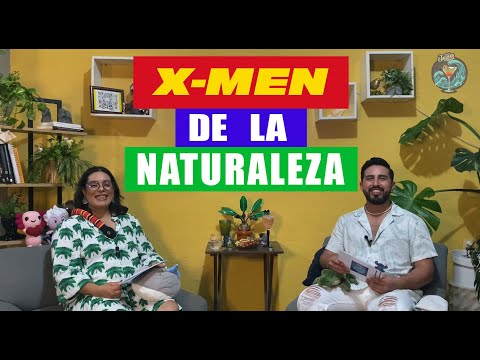 Los X-Men de la Naturaleza  T.1 - Ep. 4 ❌🦨🐯🐡🌿⚠️