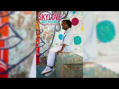 skylove - Fake Friends (prod by litleboy)