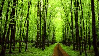 A Clare Benediction-Alto