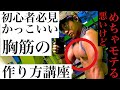 【誰でも】初心者向け筋トレ講座#1「腕立て編」【マッチョ胸】
