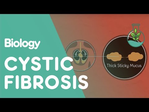 What Is Cystic Fibrosis | Health | Biology | FuseSchool